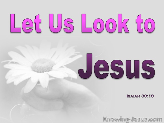 Let Us Look to Jesus (devotional)10-31 (pink)